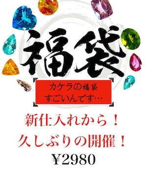 【先着100名】1人1つまで！夏休み還元福袋  ［No.K-682］