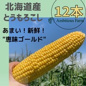 北海道江別産とうもろこし「恵味ゴールド」12本 | ふたりのマルシェ ...