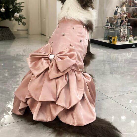 ピンクリボンのプリンセスドレス 00522