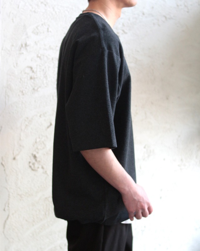 【TMDL】ヘムドローT　(260172)