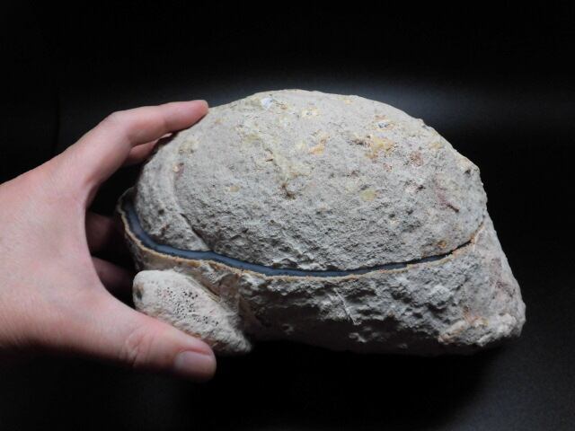 【送料無料】石の宝石箱 トレジャーアゲート（瑪瑙）セット no.1