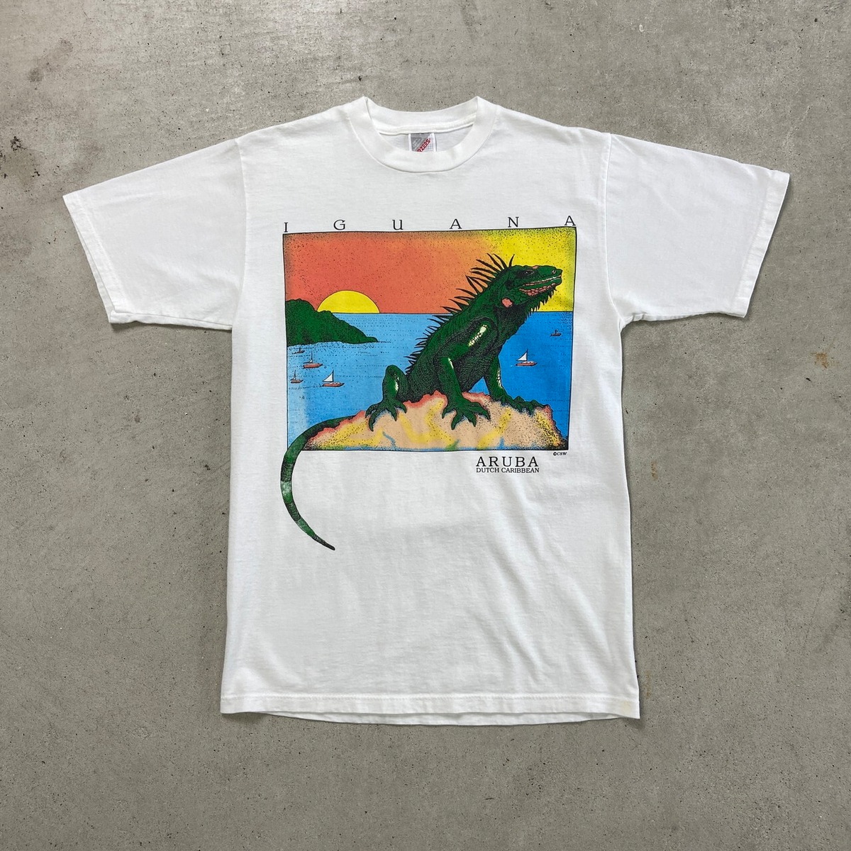 90年代 USA製 IGUANA イグアナ アニマルプリントTシャツ アート メンズ