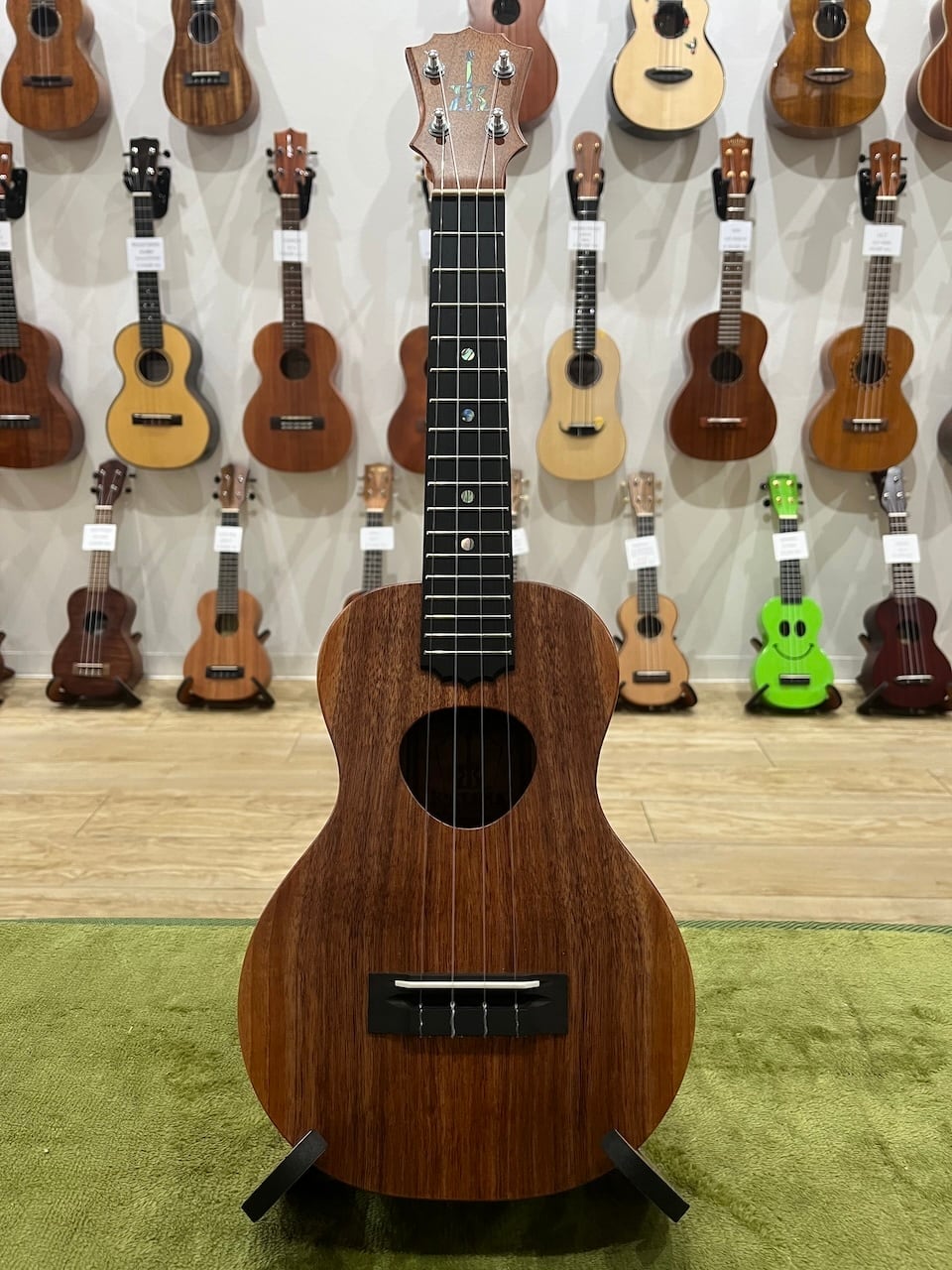 Worth Strings クリアフロロカーボン CM46 | ウクレレショップ サニー