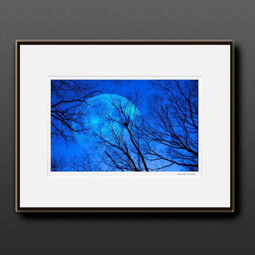 夜想 #2 ■額縁サイズ(大全紙)726×544mm