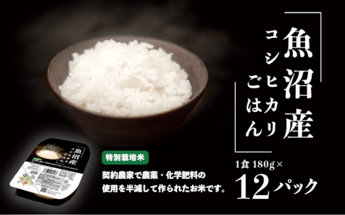 特別栽培米 魚沼コシヒカリごはん 180g×12パック