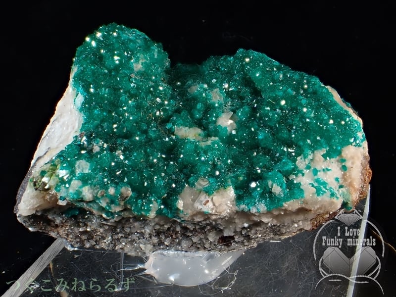 ダイオプテーズ 翠銅鉱 ナミビア・ツメブ鉱山 TM-024 seller's own