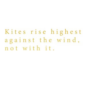 ウォールステッカー 名言 Kites Rise Highest ウィンストン チャーチル 金 光沢 Iby アイバイ ウォールステッカー 通販