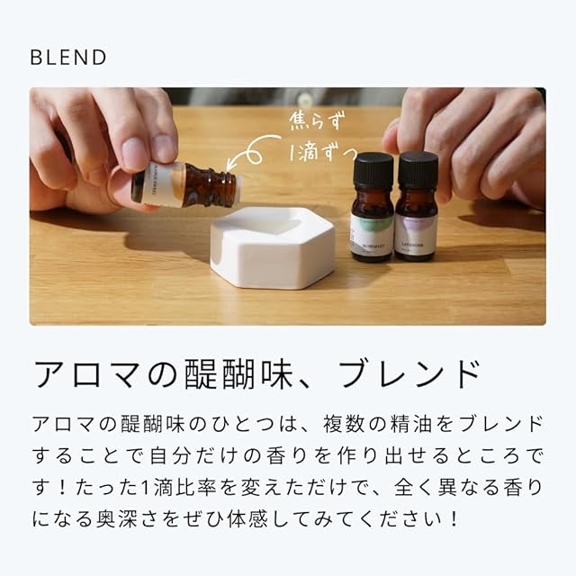 生活の木 生活の木のはじめてみた。アロマストーンセット アロマ