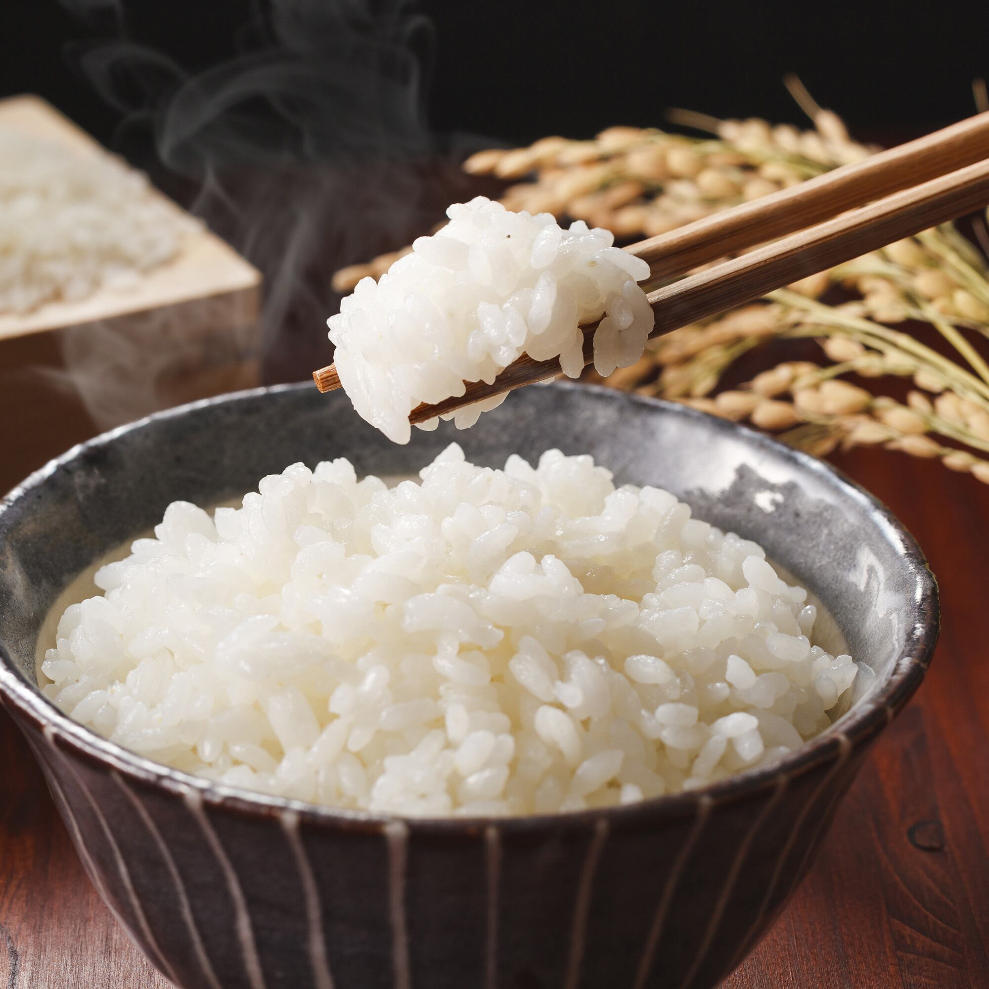 特別栽培米】 減農薬 こしひかり 10kg（認証取得）信州の環境に優しい