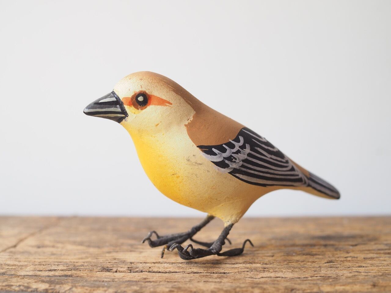 Bird様 Blue Ass't Ceramic Bird - Discover Wild Birds, Find Joy!