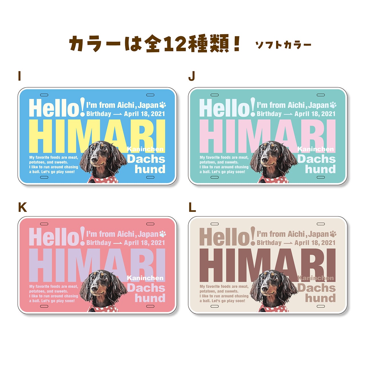 限定品❗️グラントイーワンズホルミープレミアムハーフケット ゼブラ柄