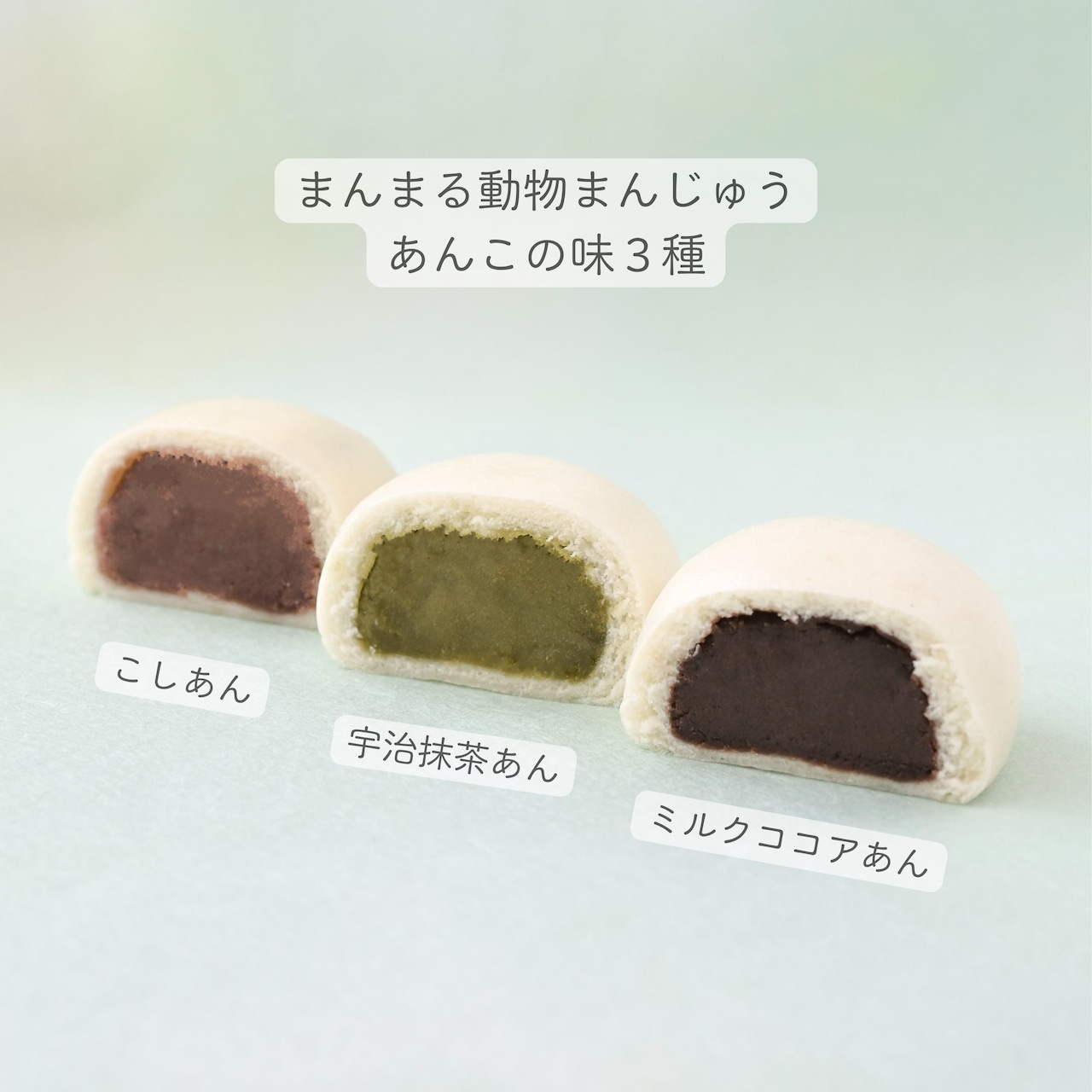【選べる】まんまる動物まんじゅう12個入