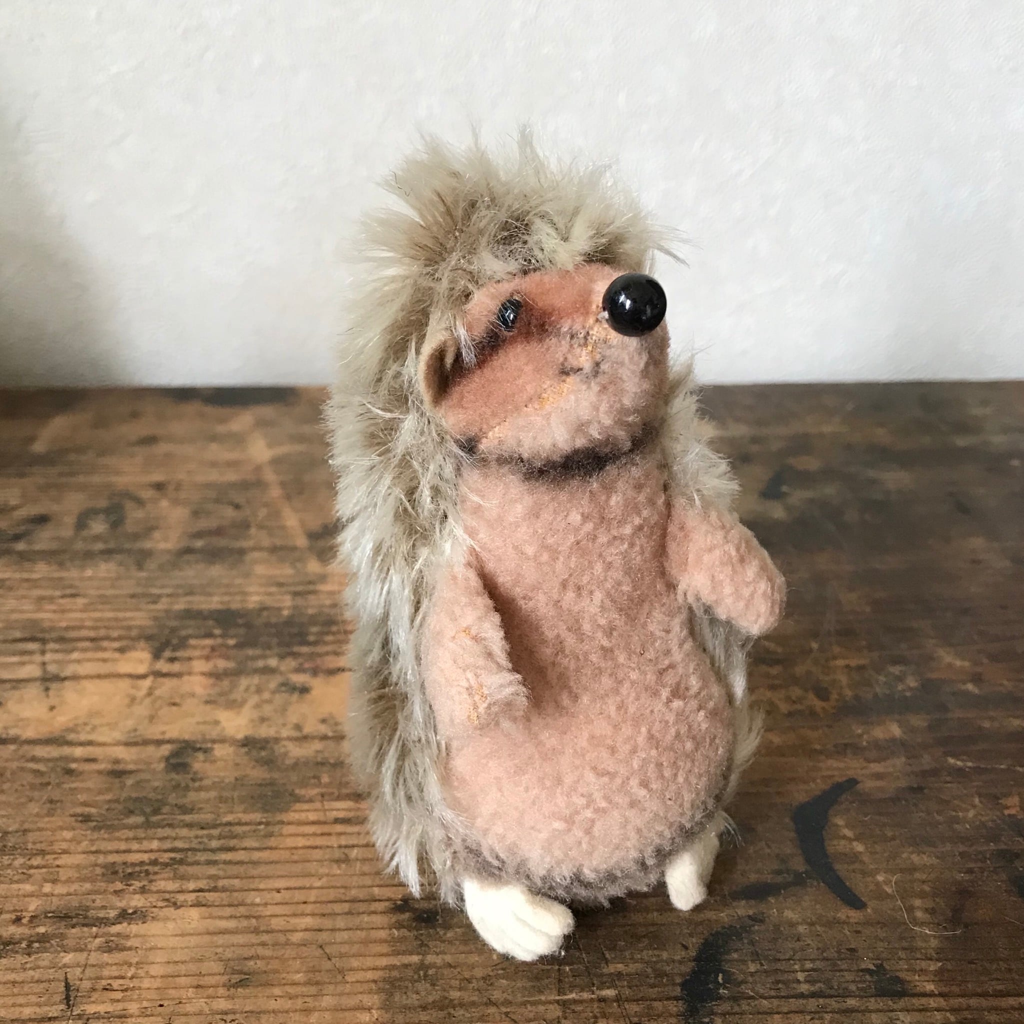 立ち上がったハリネズミ