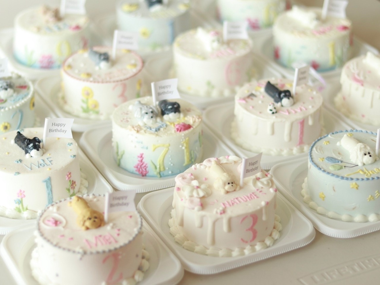 【冷凍発送】5月インユーオリジナルケーキ