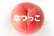 【白桃種】なつっこ【約3kg(8〜11玉)7月下旬】