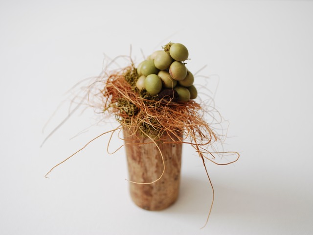 mame objet 豆の幹