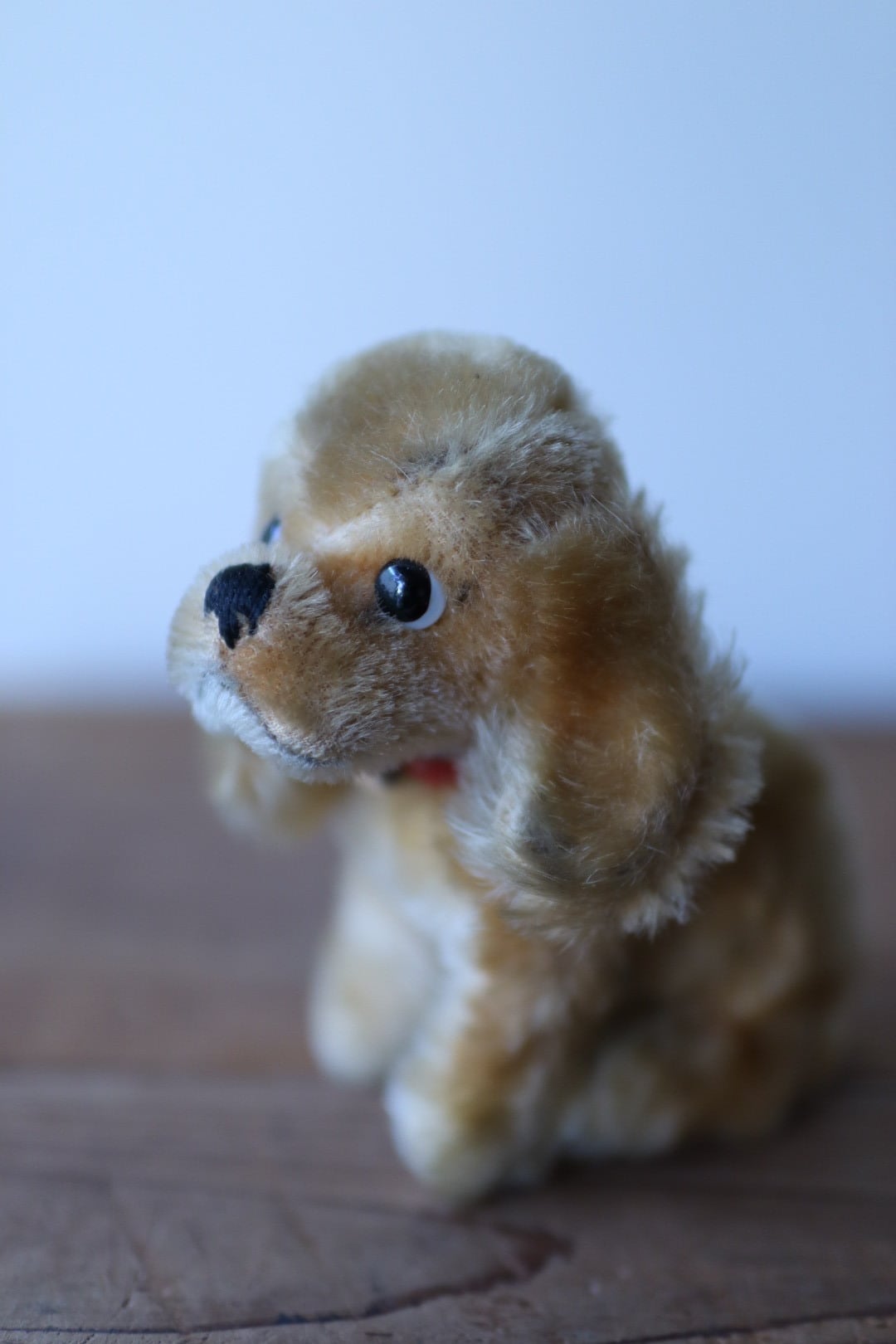 ヴィンテージ シュタイフ 犬 コッカースパニエル Revue Susi 12㎝