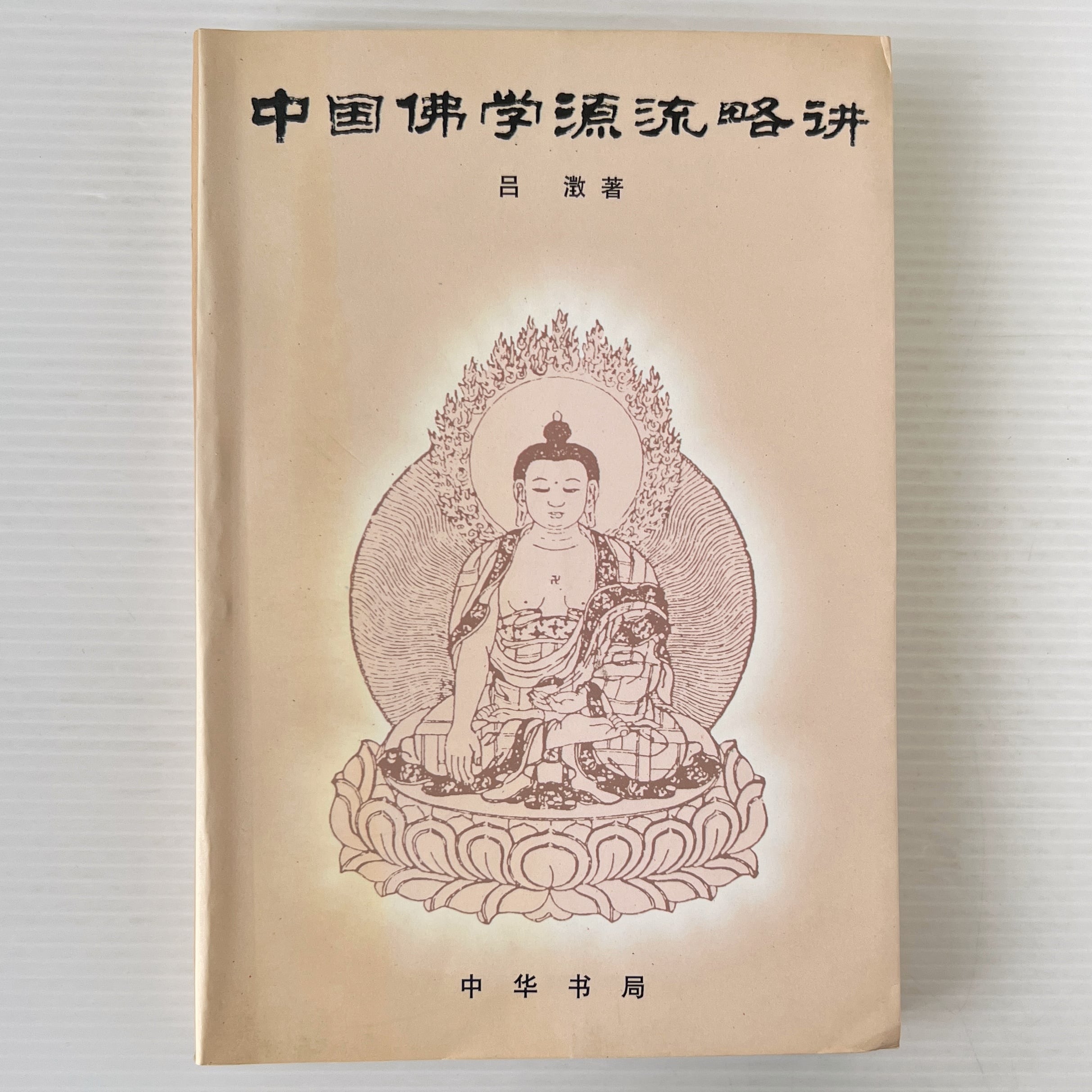 日蓮聖人遺文 観心本尊抄講話 山川智応 著 竜吟社 | 古書店 リブロス