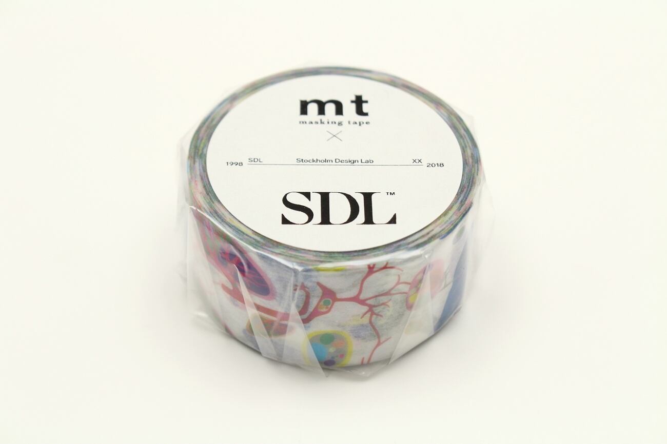 【廃番】mt×SDL Human Being 24mmマステ MT30