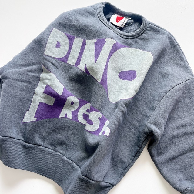 【3y-8y】Fresh Dinosaurs 24aw　/　トップス　スウェット　子供服　DINO　FRESH　SWEATSHIRT