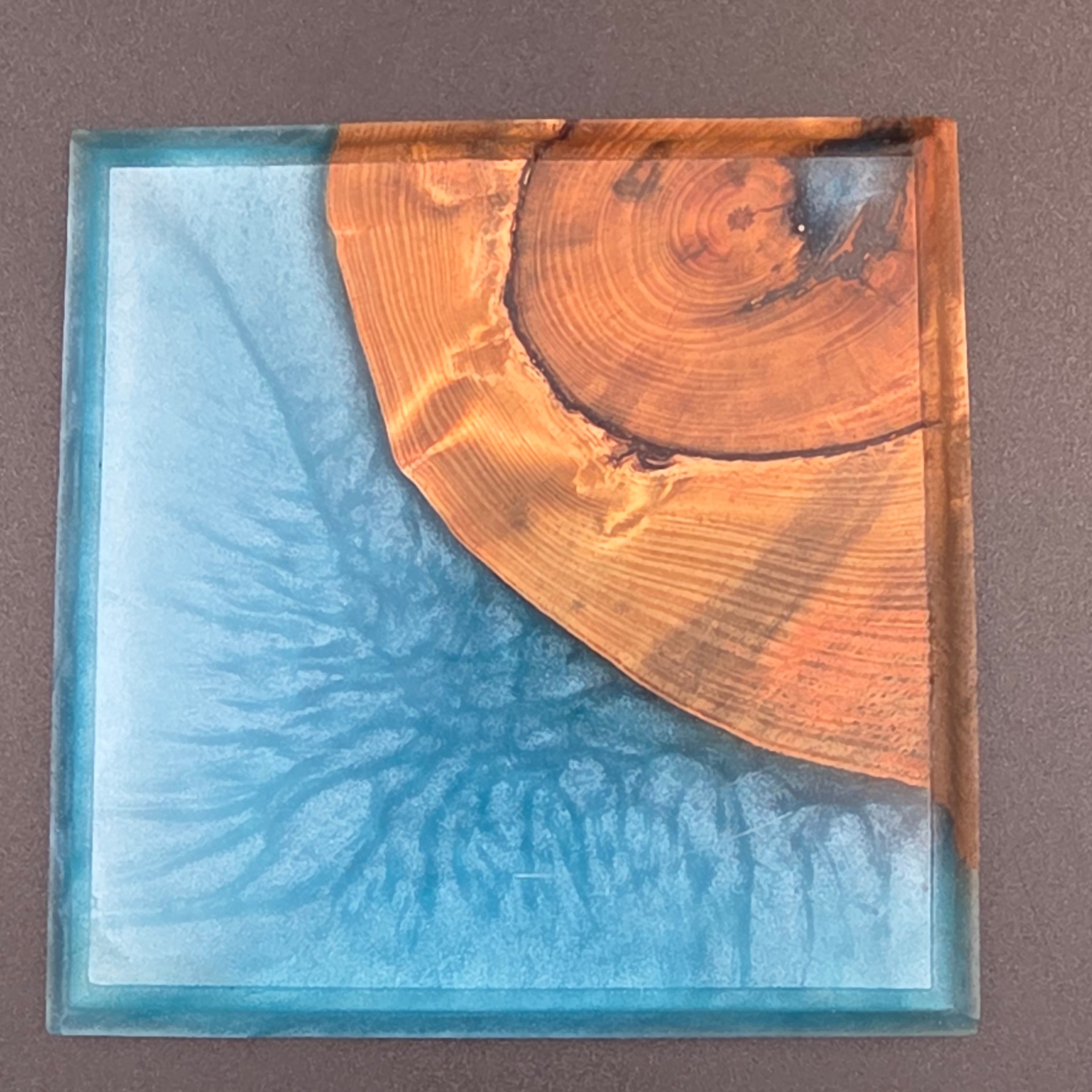 BOTANICA ウッドレジン 鉢台 / リバートレイ (一点物) | BRIDGE GARDEN