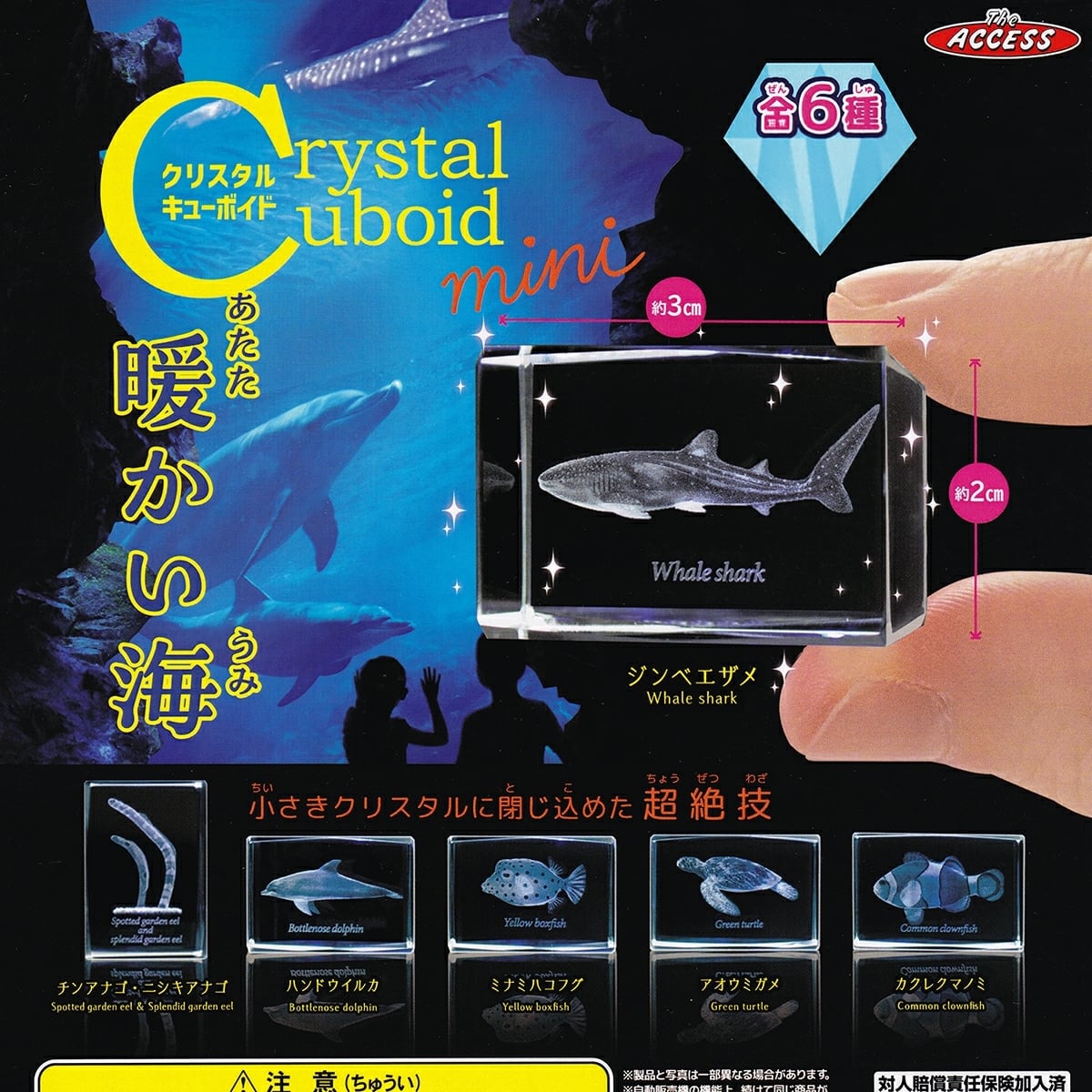 フルコンプ】 クリスタルキューボイド mini 暖かい海 【全6種セット