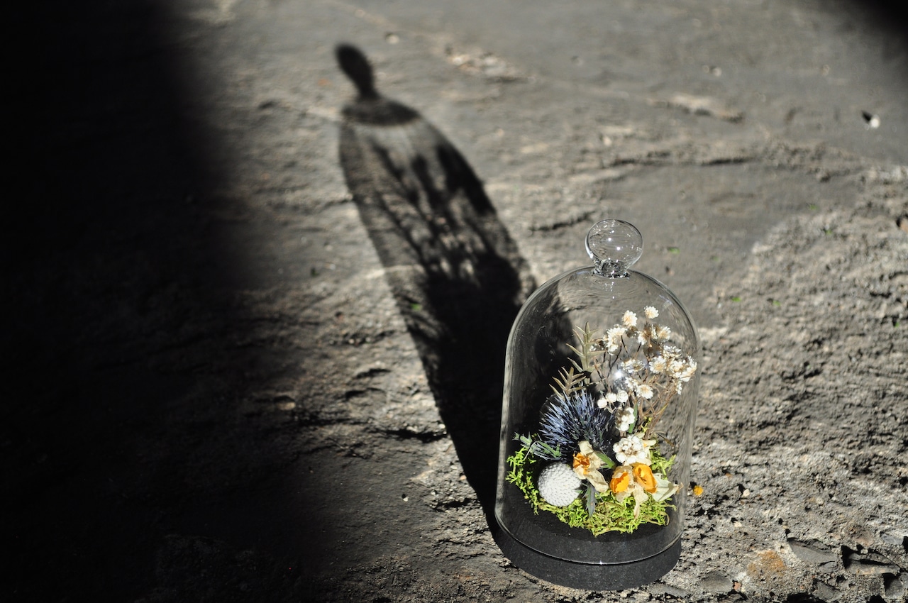 épuis Glass Dome (小)