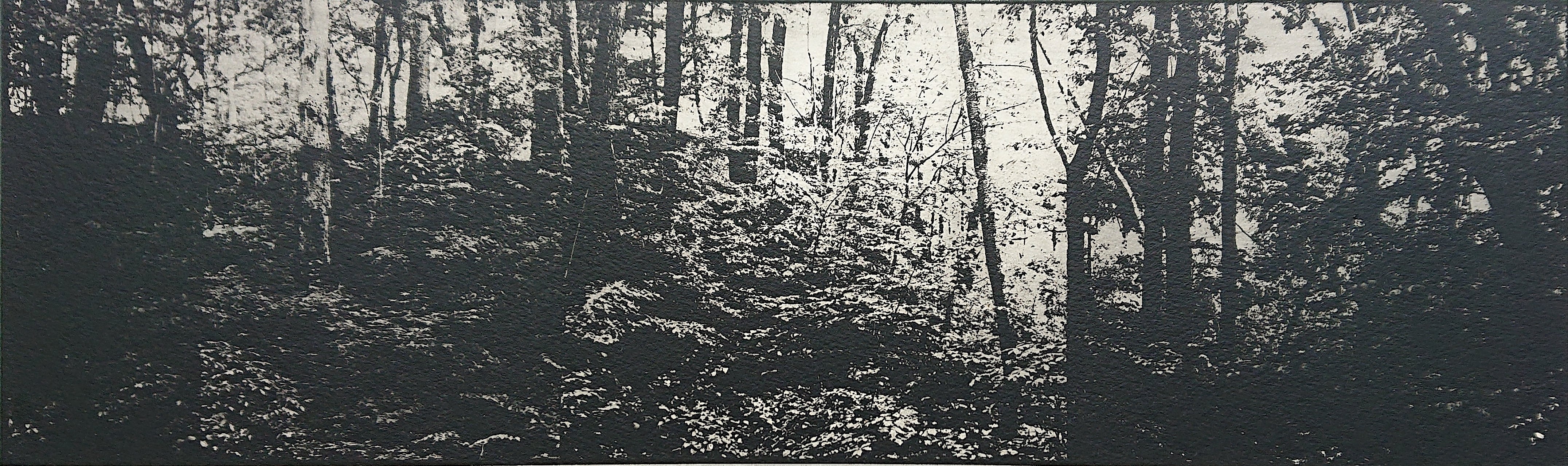 「forest  II 」（2022） 藤田修 Fujita Osamu