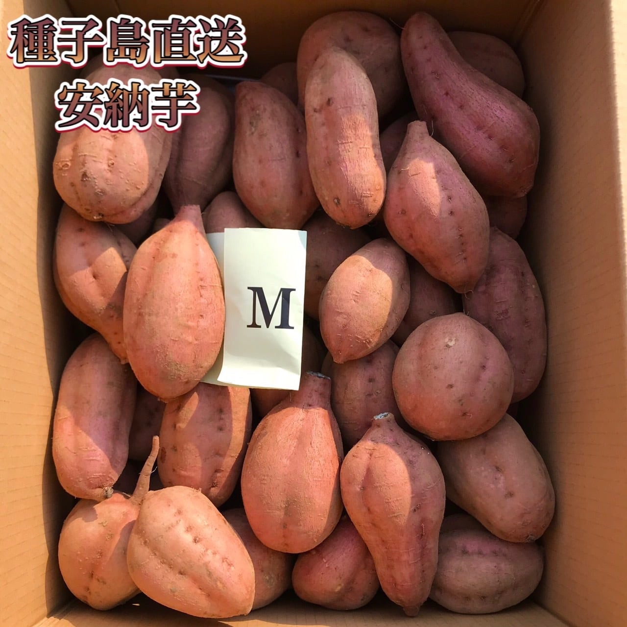 安納芋 Mサイズ 20kg｜箱別 | aimo農園