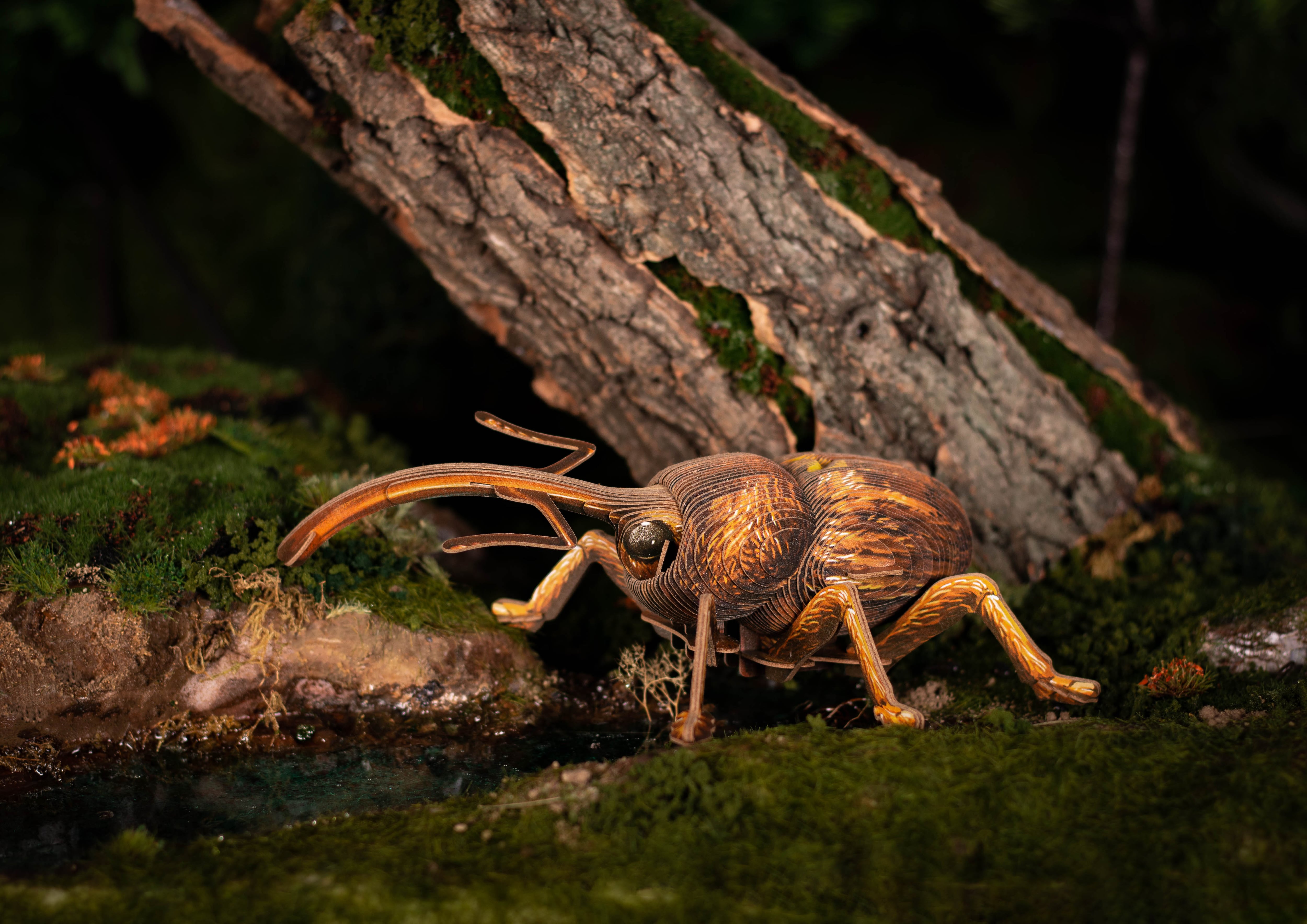 MAKEBUG 可動シリーズ-ゾウムシ | nomads online shop