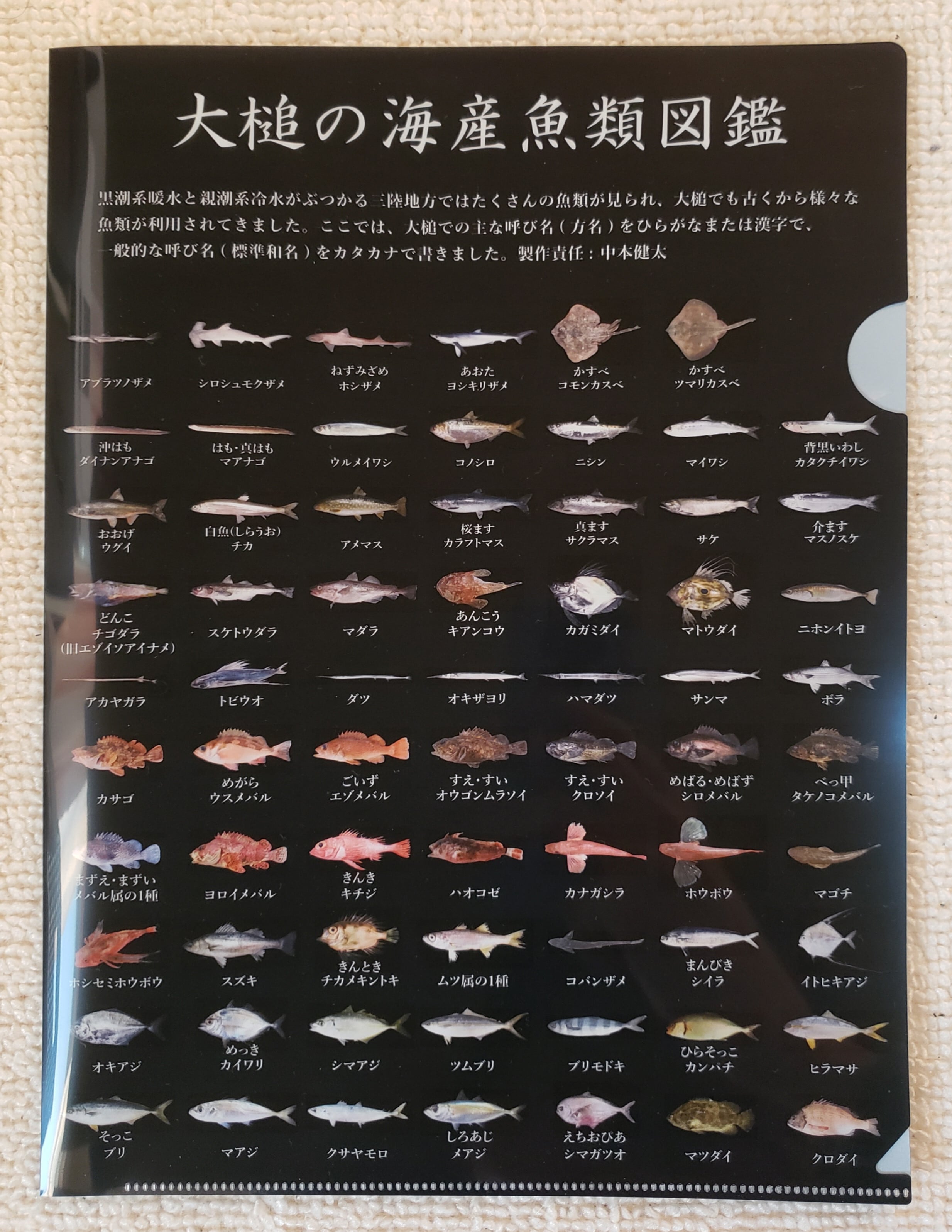 海様　おまとめ 大槌お魚クリアファイル【4枚セット】 | あぶらめ丸