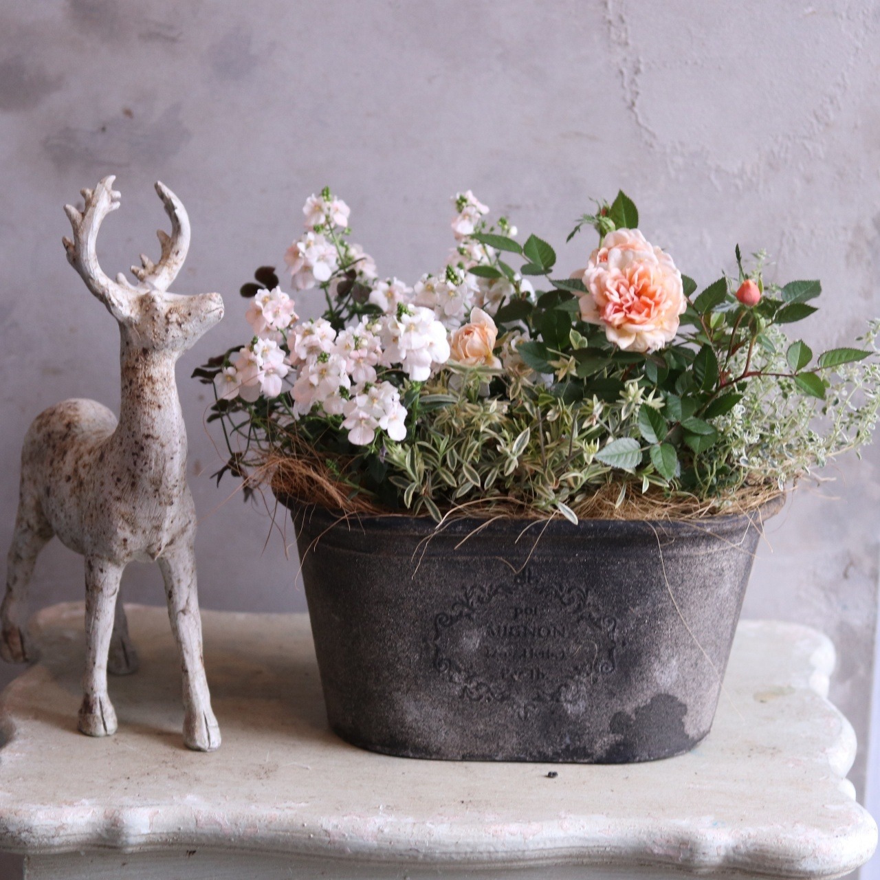 モンディマンシェ寄せ植え　ミニバラもカフェローズとシャビーポット｜届いてすぐ玄関に飾れる 　新築、開店、退職のプレゼントにもオススメ　