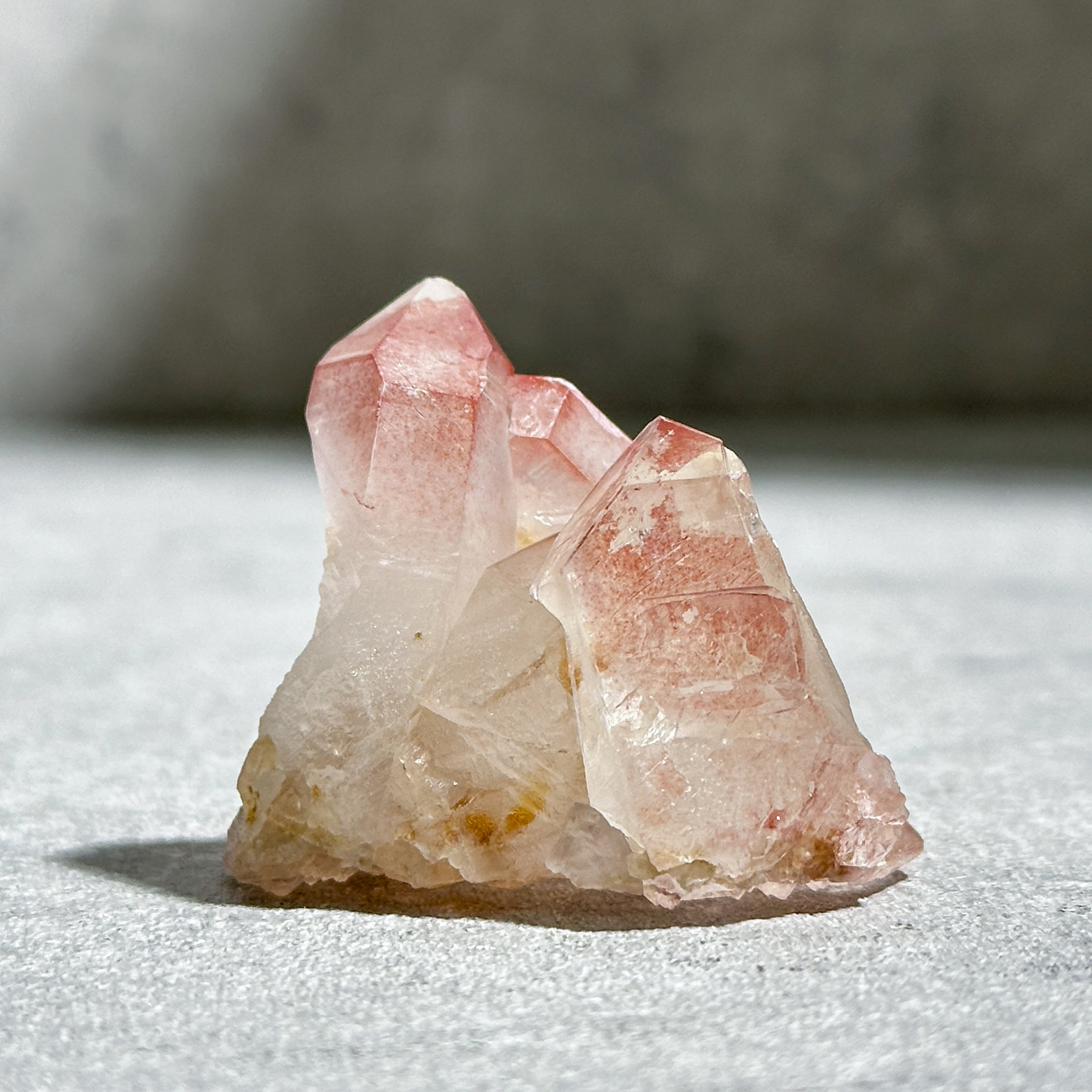 レコードキーパー有り◎ディアマンティーナ産ピンクレムリアン