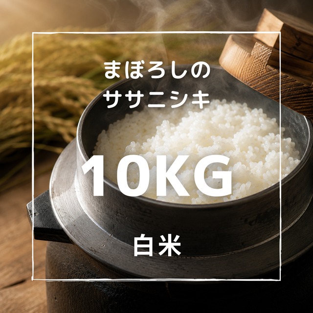 R8年産　まぼろしのササニシキ 白米 10kg