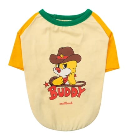 予約【andblank】Pico Raglan T-Shirt