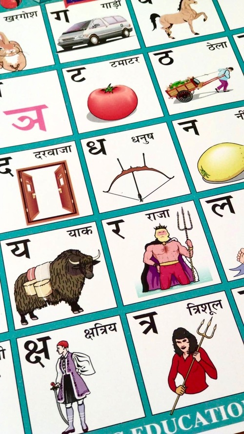 インド(ヒンディ)語  学習ポスターA3サイズ