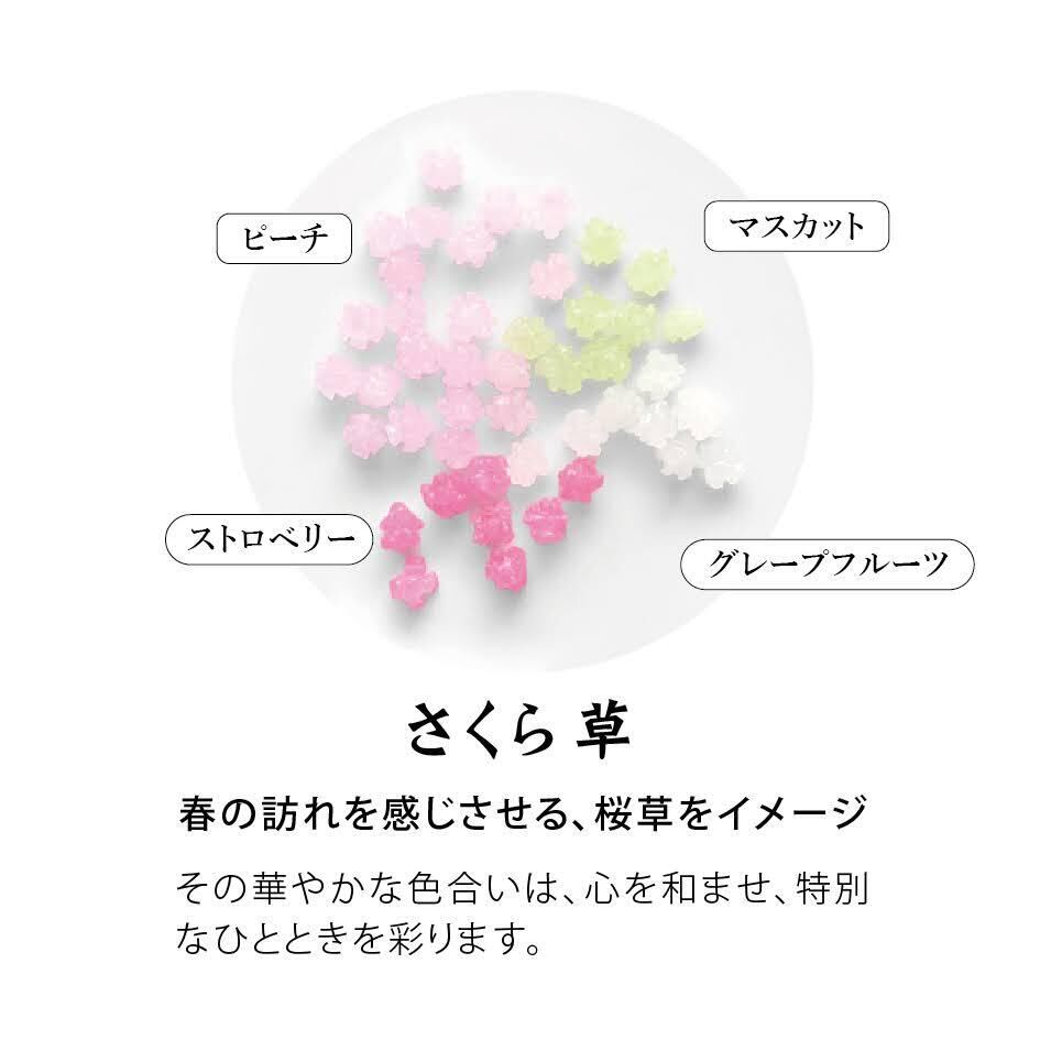 紙箱2コ入金平糖(忘れな草＆さくら草) | 青木光悦堂