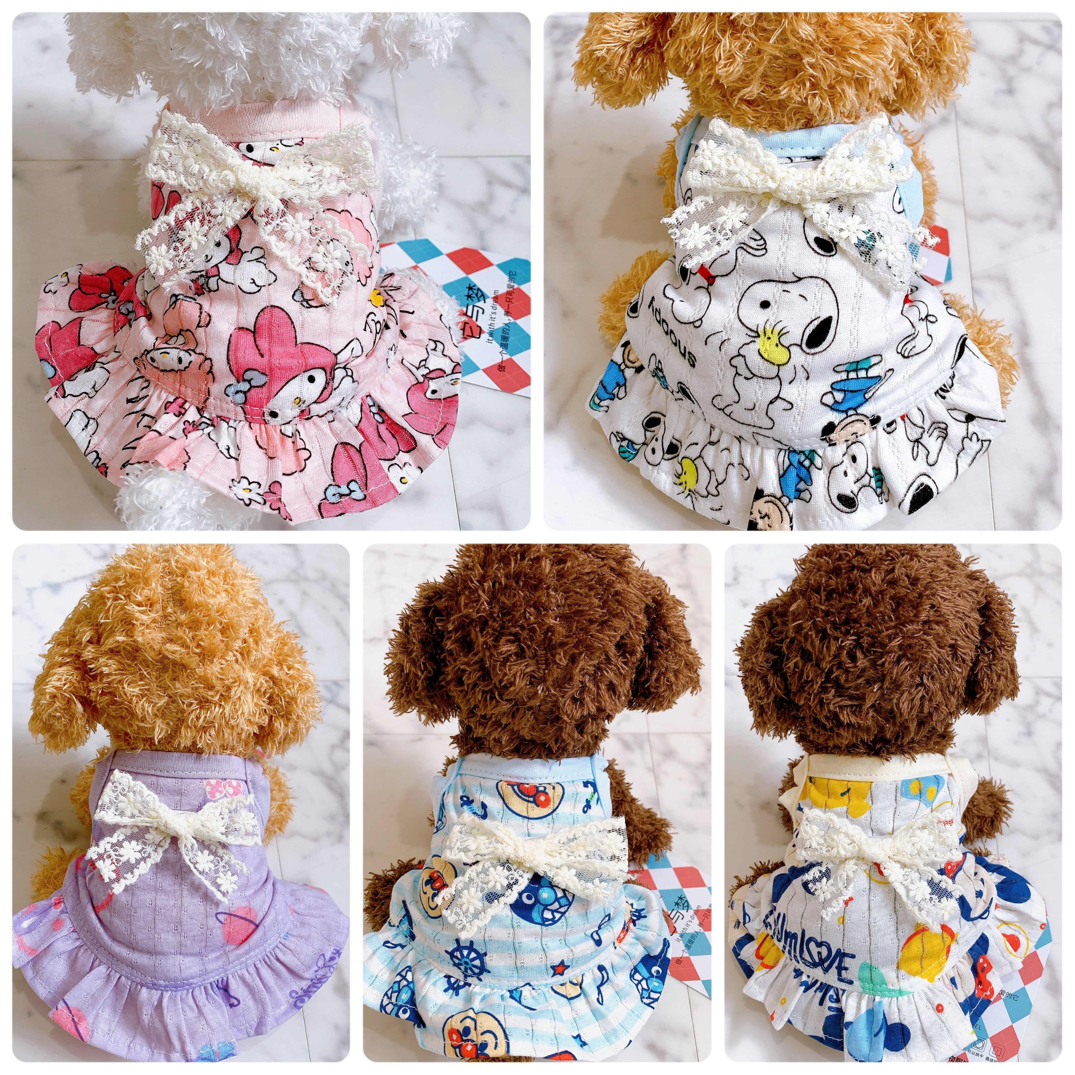 超小型犬・パピー犬 スモールサイズ | ronkichimaru(ロンキチマル