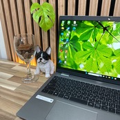 \ 公式ショップ限定価格❣️/ LTEモデル DELL Precision 3560 i7第11世代 メモリ16GB SSD512GB 最新ノートパソコン 安心サポート&3ヶ月保証付き