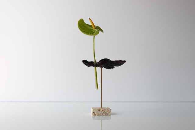 Driftwood flower vase 10 - Natural Stone square -