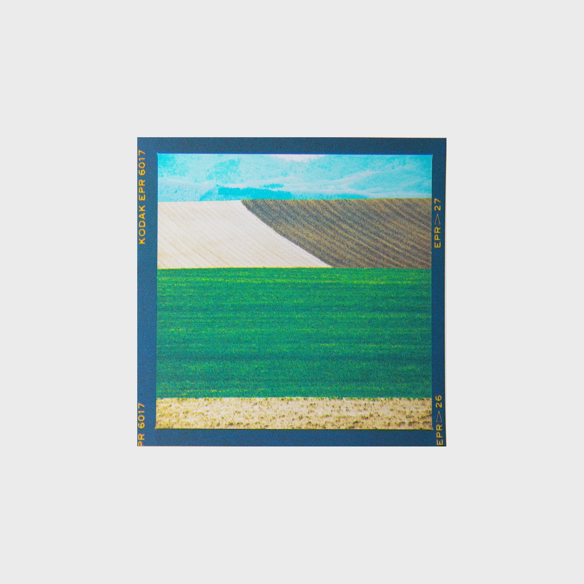 6×6フィルムステッカーA〈6枚セット〉 | 拓真館 TAKUSHINKAN
