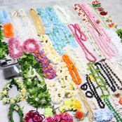 フラダンス 小物 小道具 まとめ売り 全100点以上 セット カラフル ネックレス フラワーレイ リーフレイ 髪飾り 頭飾り ウィッグ リーフ タヒチアン アクセサリー 民族衣装 ダンス小物 ハワイアン イベント ヘアアクセサリー まとめ売り セット販売