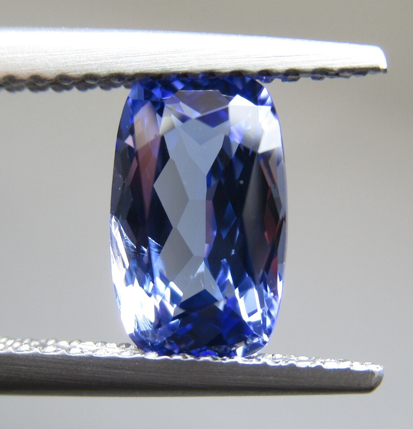 Blue Tree Gem