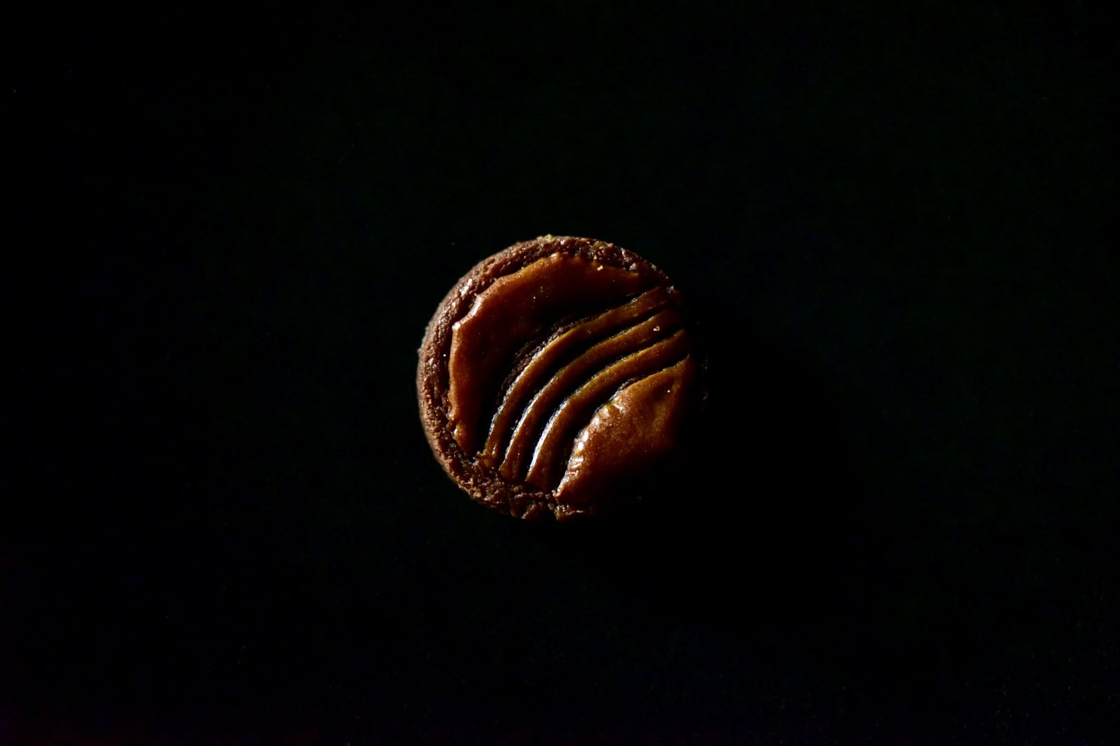 白南天（11/28fri.発送）