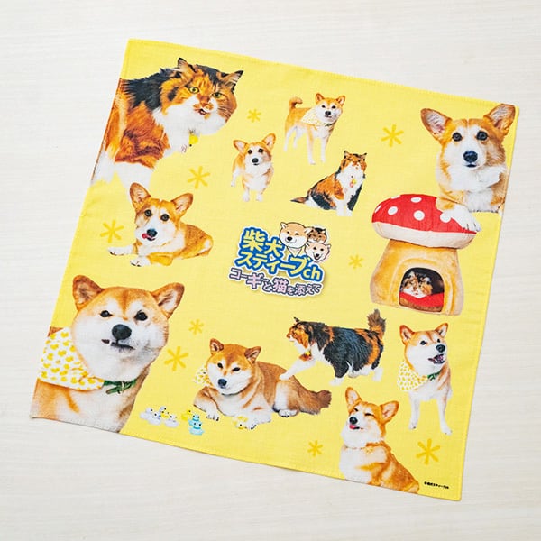 柴犬スティーブchおしゃべりラバーストラップ（購入時おまけ付） 受注生産販売品】柴犬スティーブchおしゃべりラバーストラップ ハル