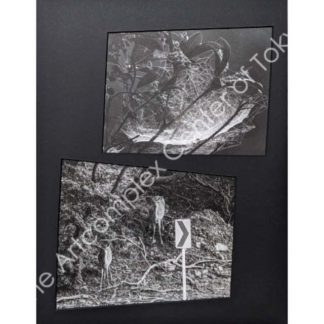 NaNaHa「Unexpected Connections 20」