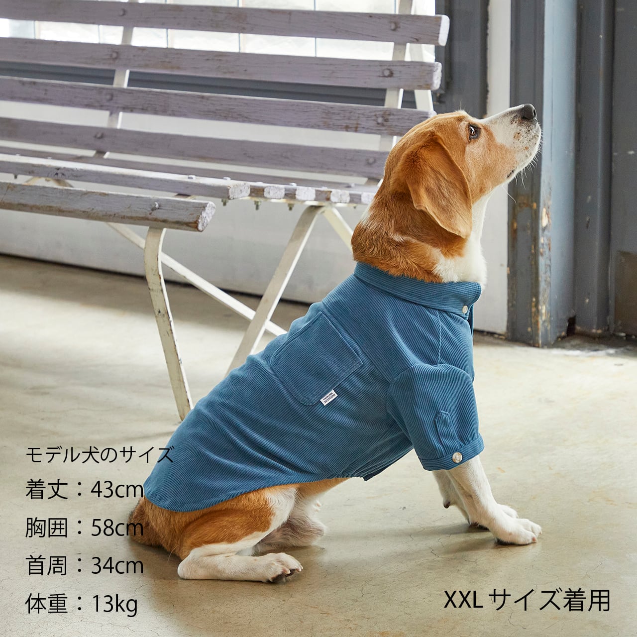 CORDUROY SHIRT（M,MD,L）コーデュロイシャツ | MANDARINE BROTHERS