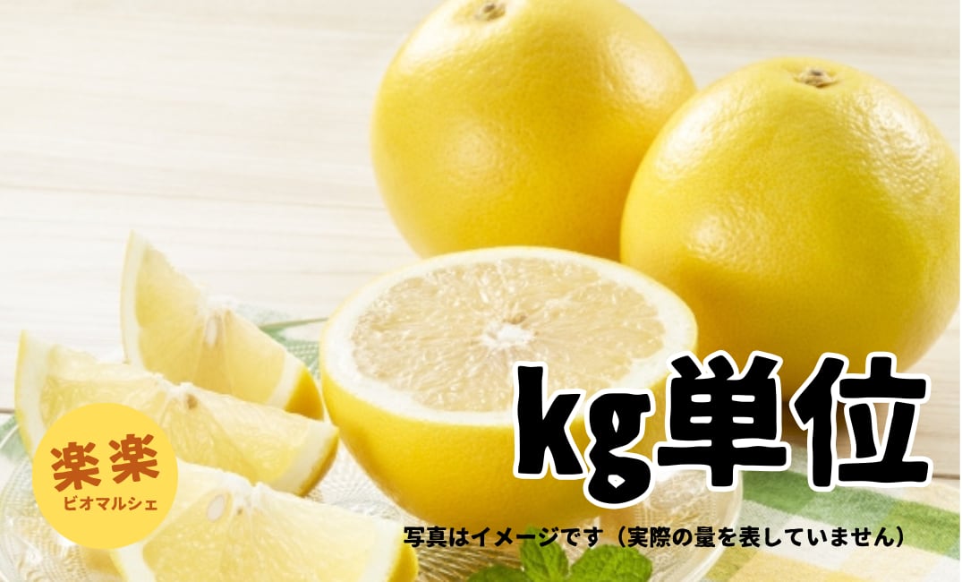 グレープフルーツ(お得サイズ・㎏単位)