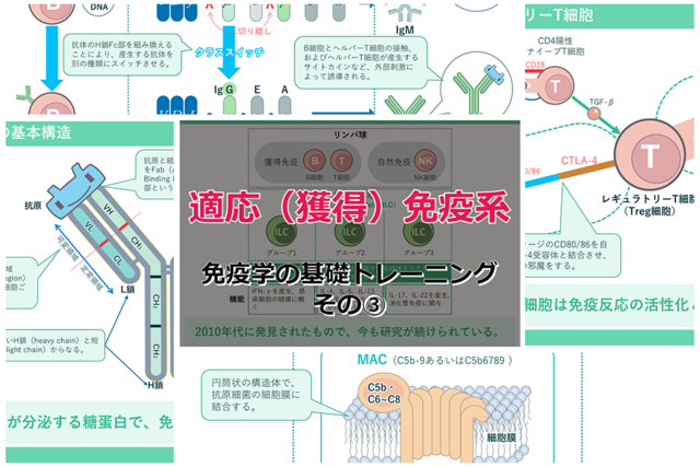 大学病院担当MRの役割