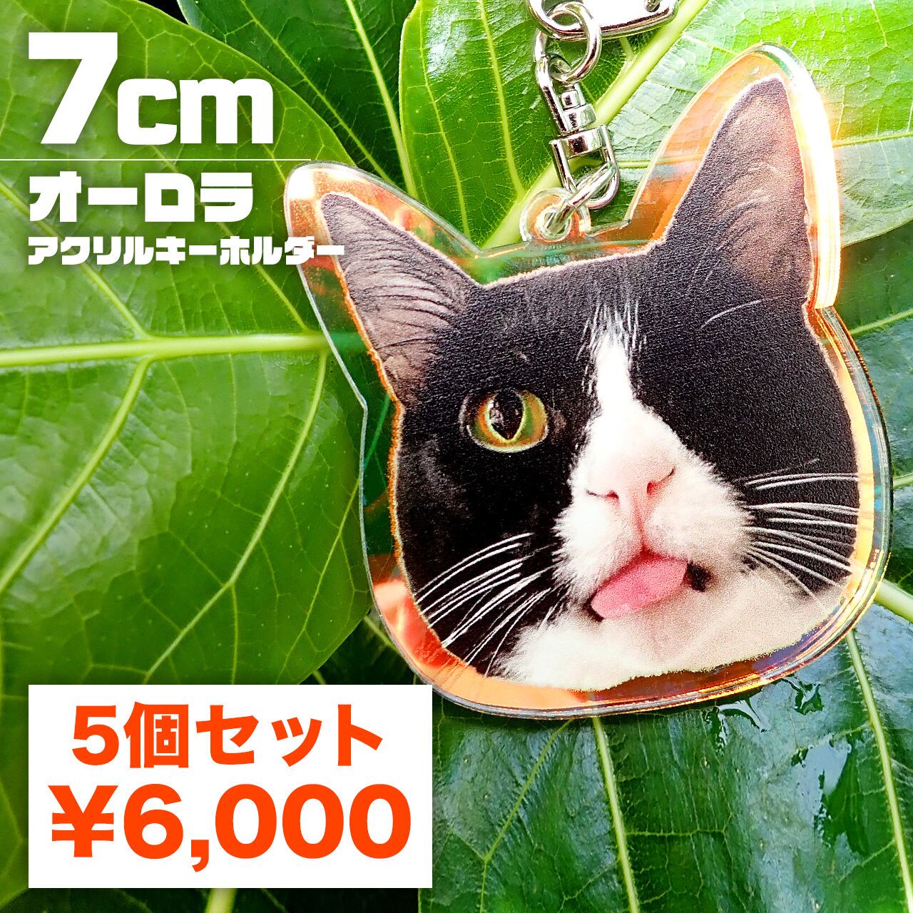 オーロラアクリルキーホルダー 7cm | プガプガトゥ！！